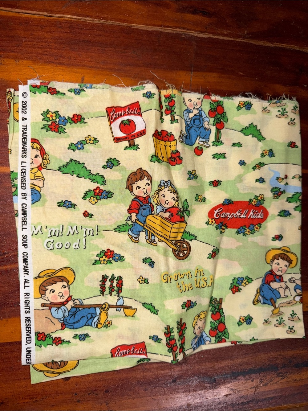 Vintage Fabric Campbell’s soup gardening garden Remnant